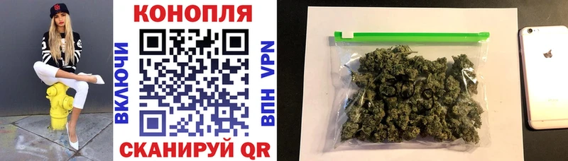 Шишки марихуана гибрид  как найти закладки  Завитинск 